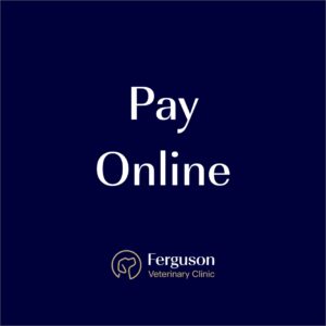 Pay Online